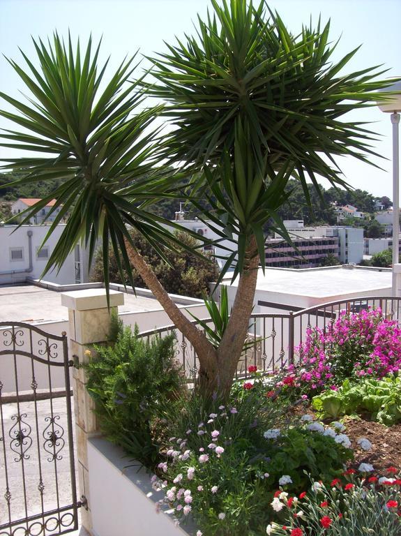 Apartmán Prosperina Hvar *